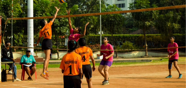 Volleyball image